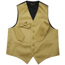 Solid Gold color vest